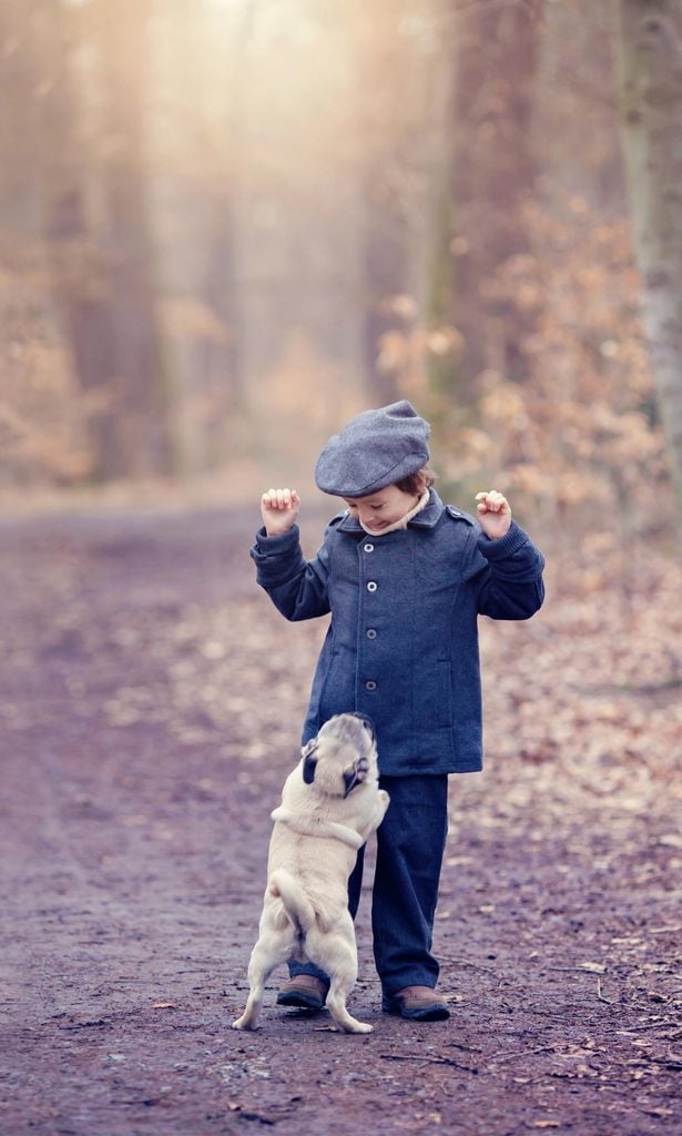 Niños con mucho miedo a los perros