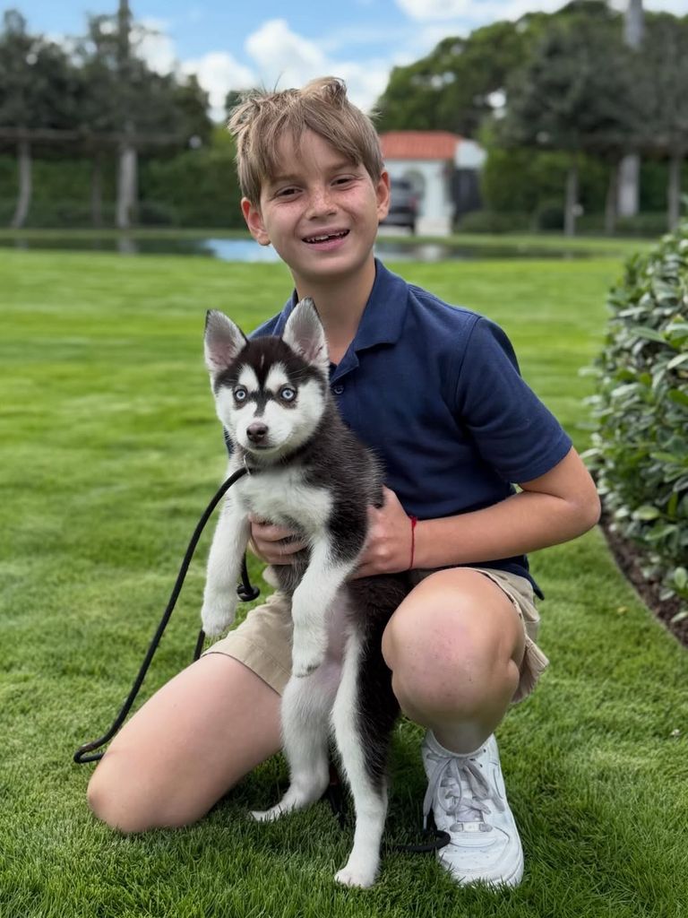 El pequeño de la casa junto al nuevo bebé peludo
