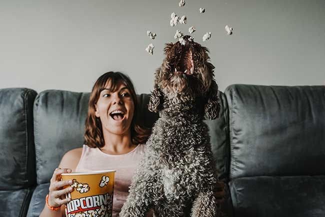 Esta es tu relación con tu mascota en función de tu signo zodiacal
