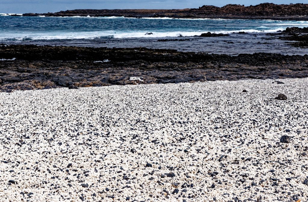 Playa Bajo de la Burra
