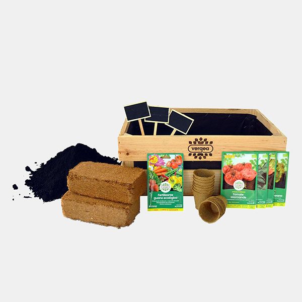 huerto interior kit cultivo