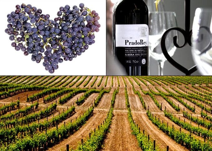 Las bodegas 'PradoRey' ofrecen una experiencia de enoturismo especial para las parejas aficionadas al mundo del vino.
