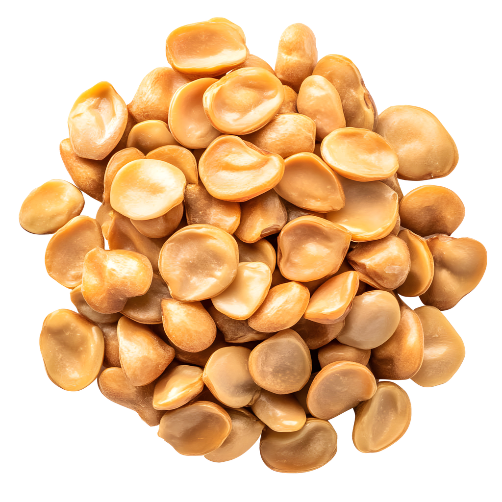 Altramuces fritos