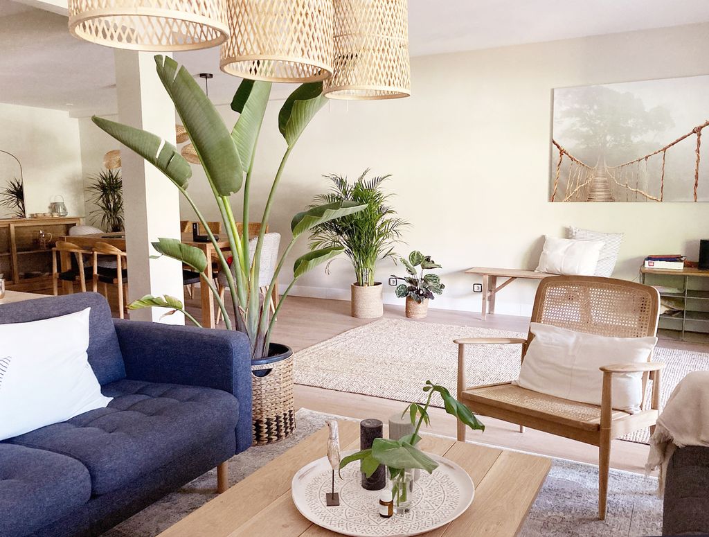 Luminoso salón comedor con un diseño biofílico entre otros elementos, gracias a que integra plantas naturales