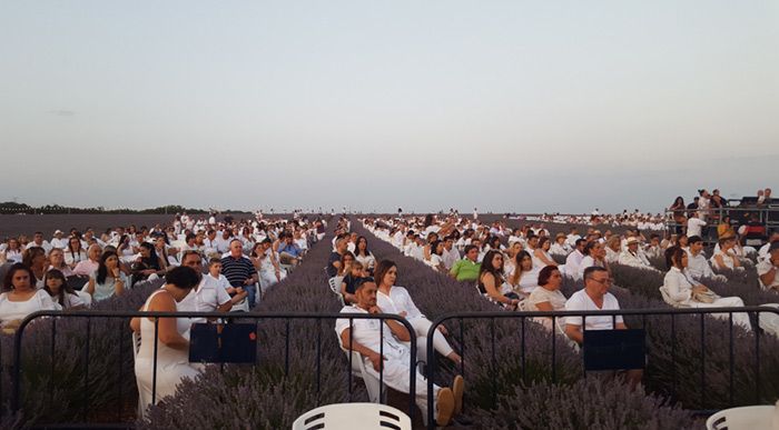 Demarco Flamenco recauda 11.400 euros en el concierto solidario 'Los Aromas'