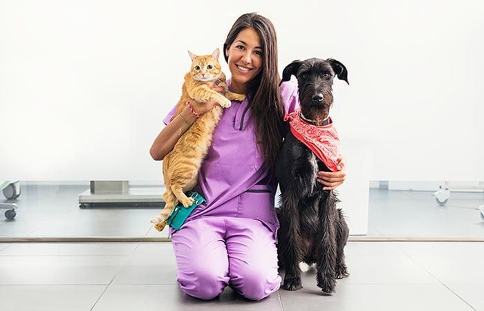 Cáncer de mama mascotas 