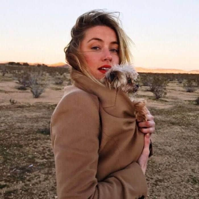 Amber y su perrito