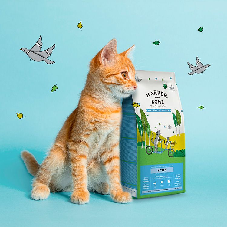 Descubre el mejor pienso para animales que se convertirá en su favorito