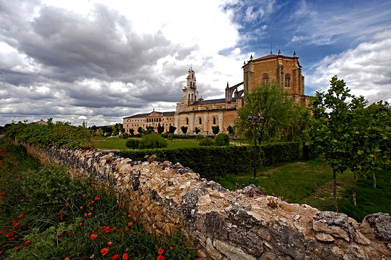 vinos6