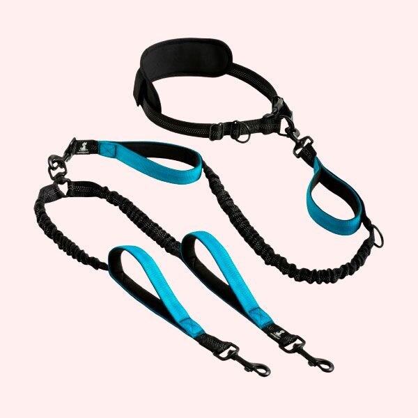 que tipo de correa para perro es mejor