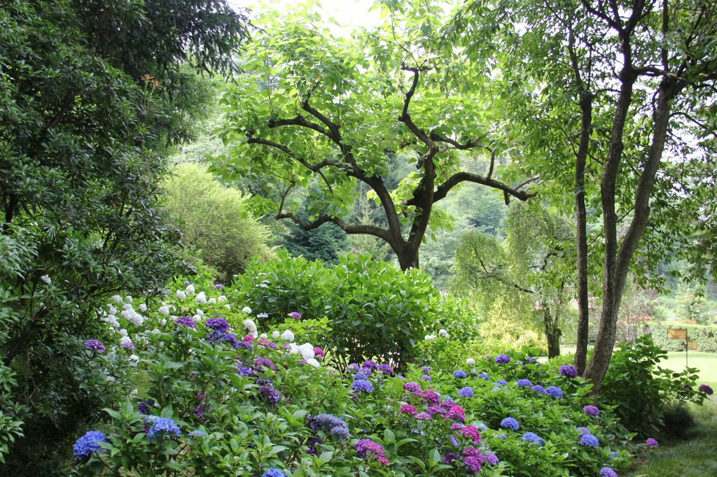Plantas de jardín