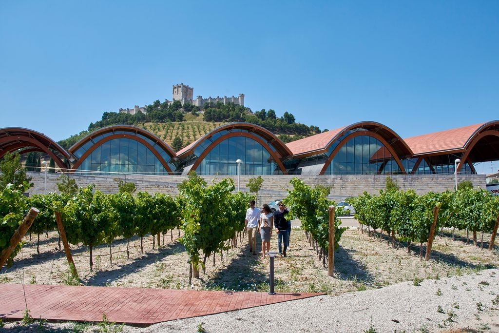 Bodegas Protos es una de las que participan en el Día V de Ribera del Duero
