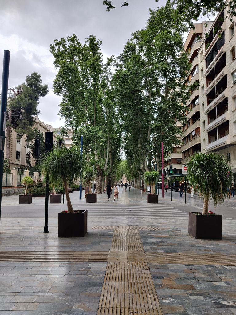 Temporal en Valencia