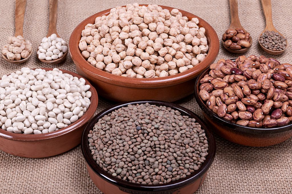 En la cocina española, las legumbres más consumidas son las lentejas, los garbanzos y las alubias. 