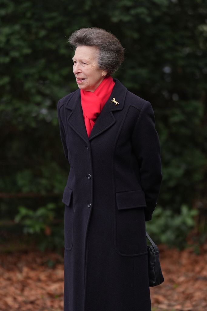 La princesa Ana de Inglaterra con su famoso broche con forma de caballo.