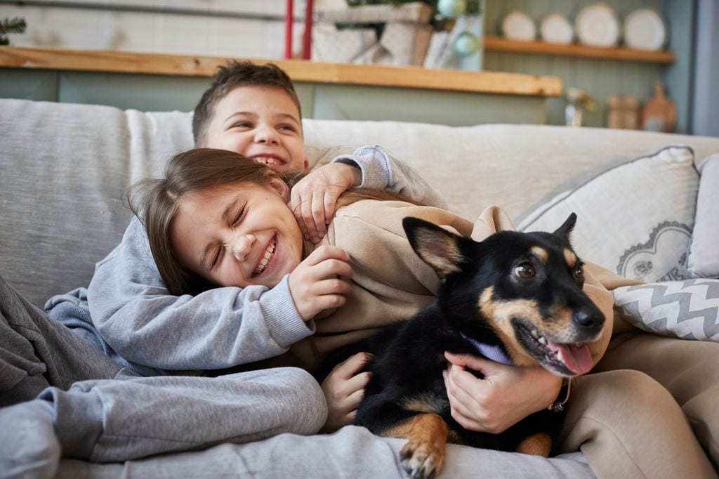 Elegir un perro por impulso o por la raza de moda es uno de los errores más frecuentes, según Jacqueline Lasry, presidenta de la Fundación Impulso
