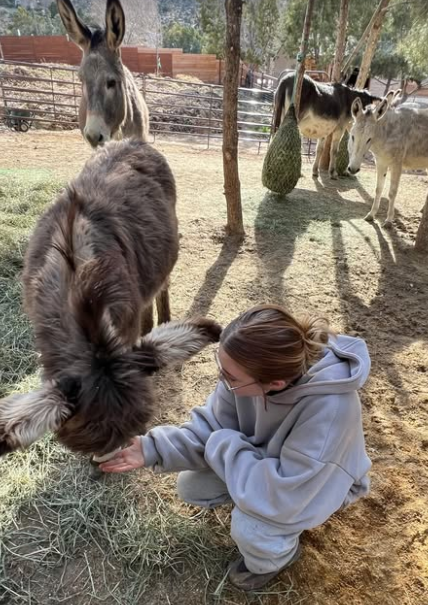 Jaz con burros en su Instagram