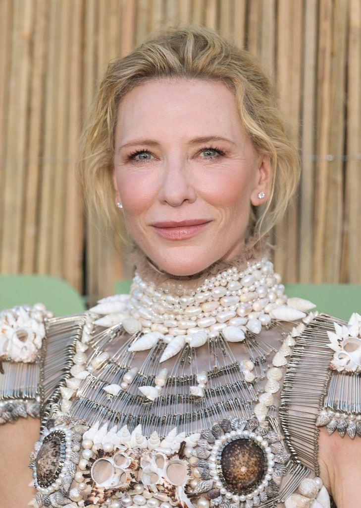 Cate Blanchett lució su melena en un chongo despreocupado. 