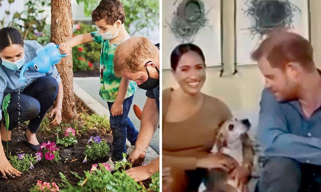 
Arriba, la pareja, en su nueva vida californiana, fue acogida por celebridades como Beyoncé; el director ejecutivo de Disney, Bob Iger, y Oprah Winfrey, a quien concedieron una polémica entrevista (arriba). Abajo, los Sussex plantan nomeolvides en un colegio para conmemorar a Diana.
