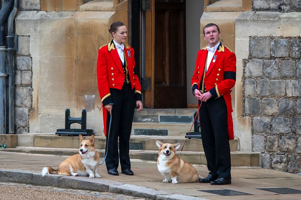Integrantes del staff del Palacio fotografiados junto a Muick y Sandy, mientras esperan el cortejo fúnebre de la reina Isabel II el 19 de septiembre de 2022 en Windsor. 