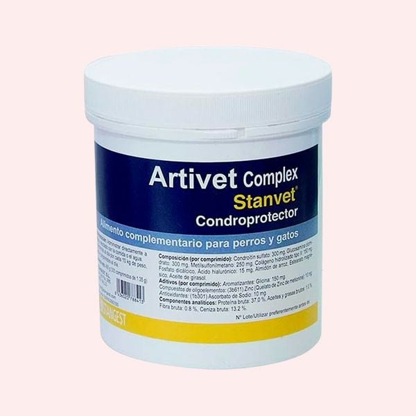 Articulaciones de Stangest