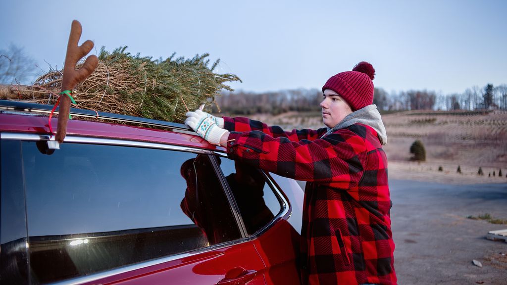 Coche decorado con cuernos de reno