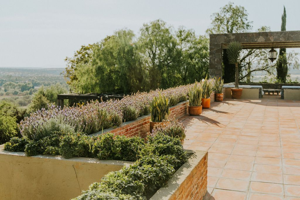 Terraza con plantas en jardineras y macetones