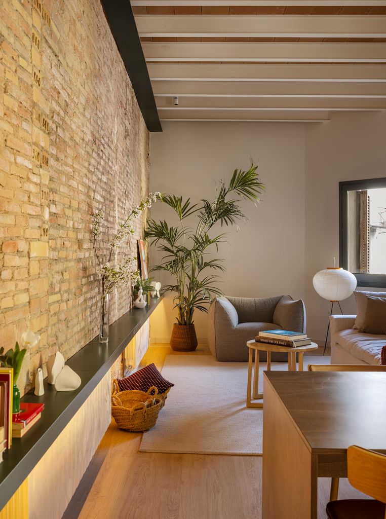 Salón con planta grande. 