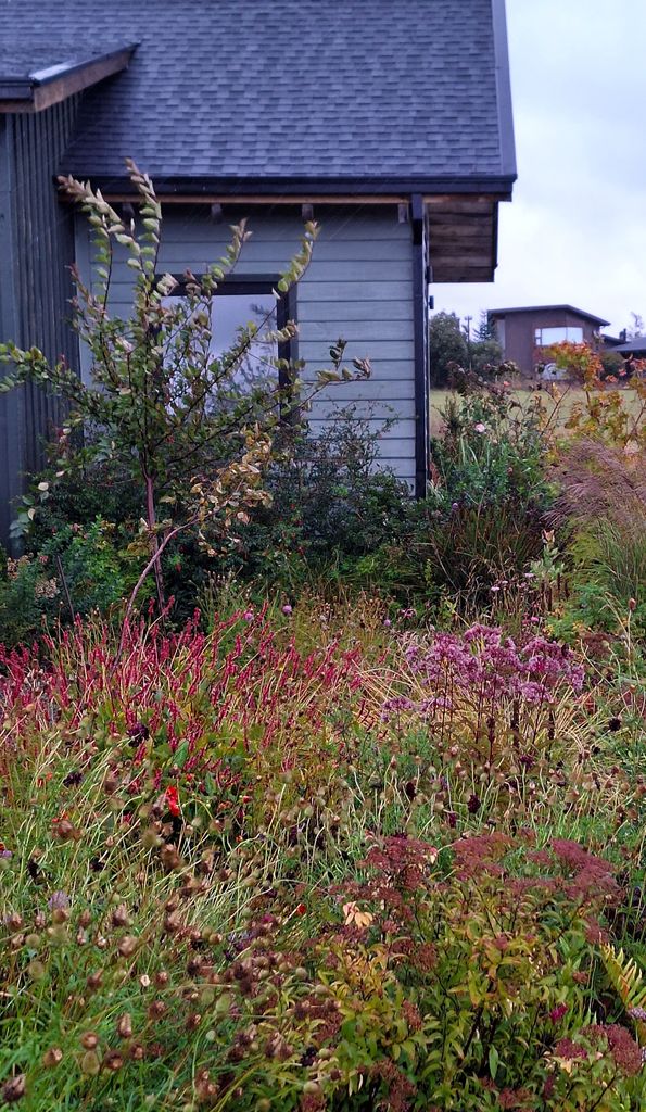 Jardín en el que las flores lucen tonalidades rojizas y púrpuras