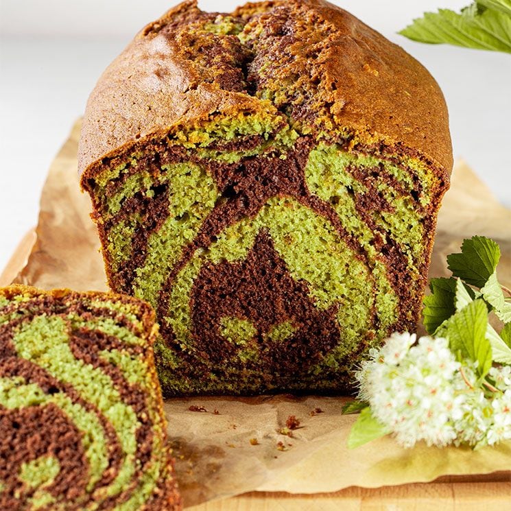 matcha adobe