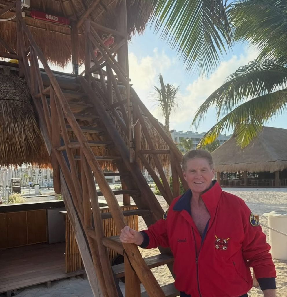 David Hasselhoff preocupa tras ser visto en silla de ruedas semanas después de la muerte de su exesposa   