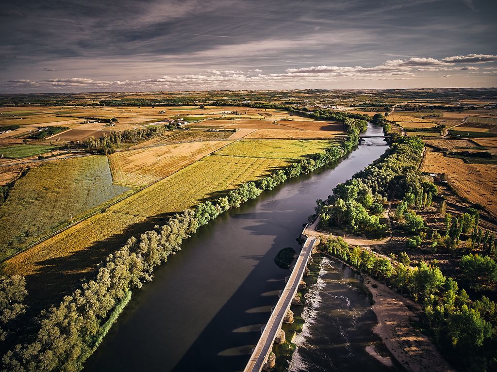 Viñedo Bodegas Nexus
