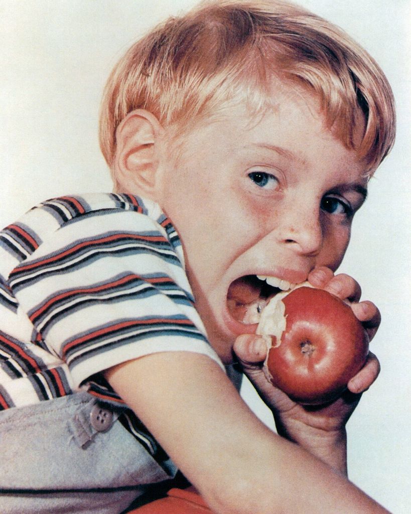 Muere el protagonista de 'Daniel el Travieso', Jay North, a los 73 años 