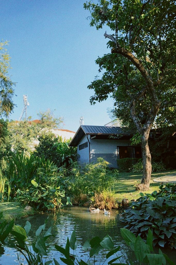Estanque en el jardín