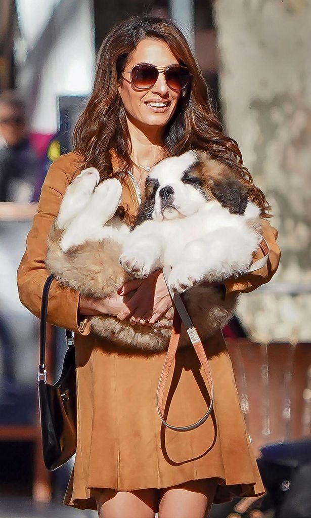 George Clooney y Amal HO4151