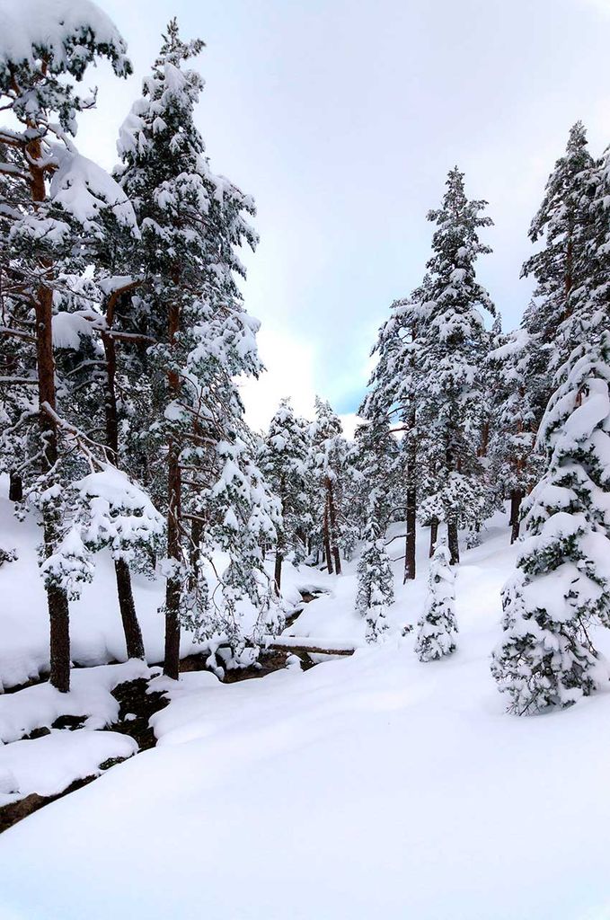 Camino-Schmidt-nieve