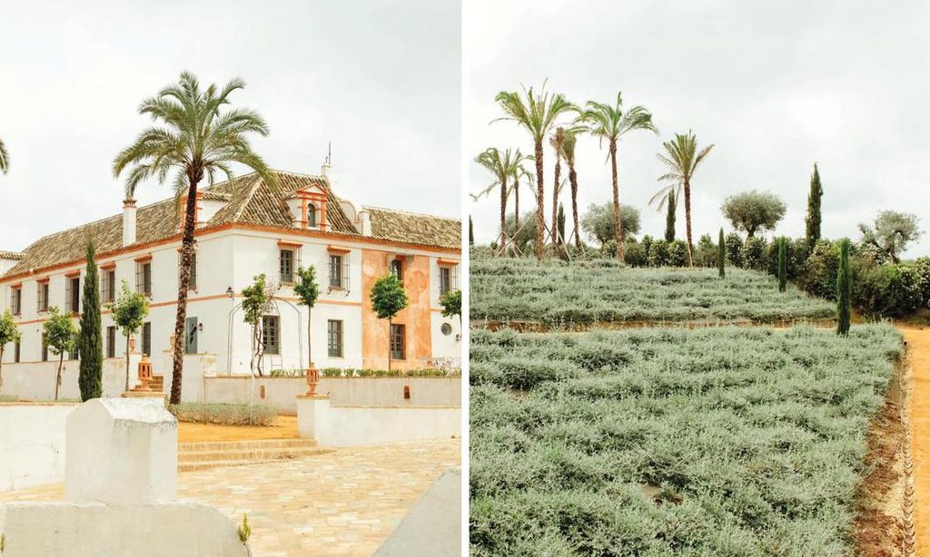 
Arriba, los hermanos Luis, Rocío y Julia, ante el humedal de la finca, hábitat para aves y nutrias. Sobre estas líneas, imagen de la hacienda de la familia Bolaños en Carmona, Sevilla. El edificio ha sido rehabilitado durante los últimos tres años tras una ardua labor de documentación sobre su disposición original. A la derecha, el jardín.
