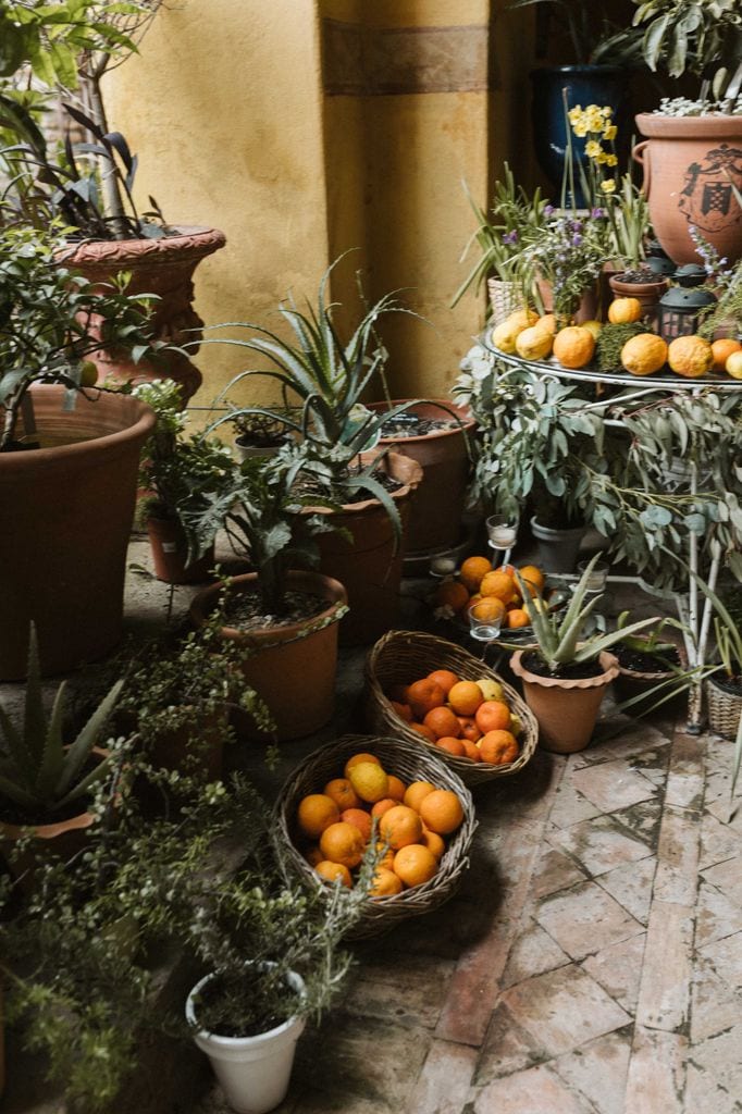 Boda de Mariquilla decoración con frutas