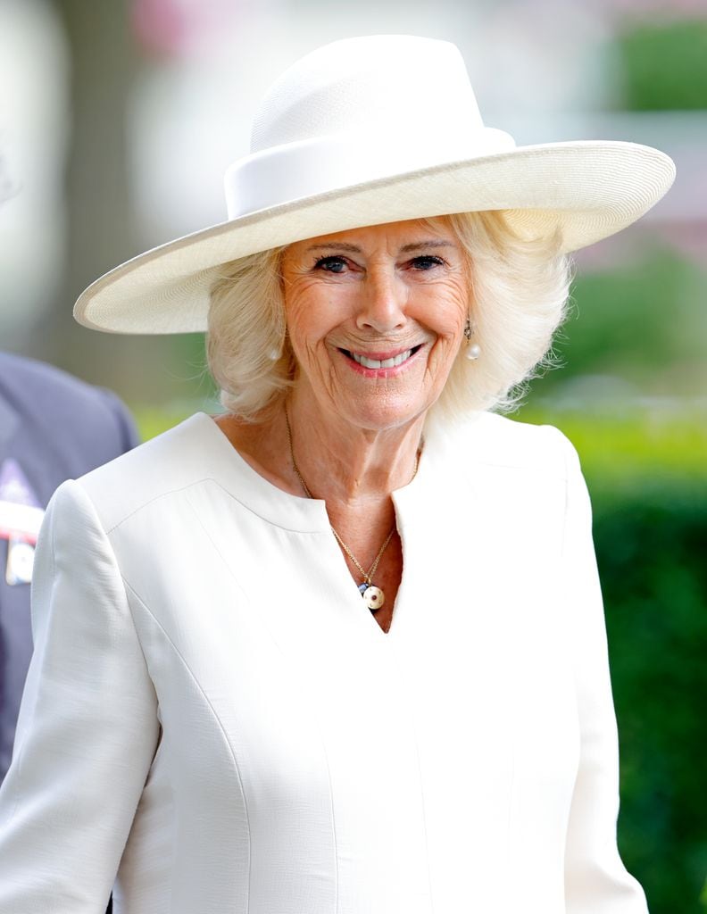 La reina Camila ha sido defensora de las organizaciones benéficas contra la violencia doméstica durante décadas