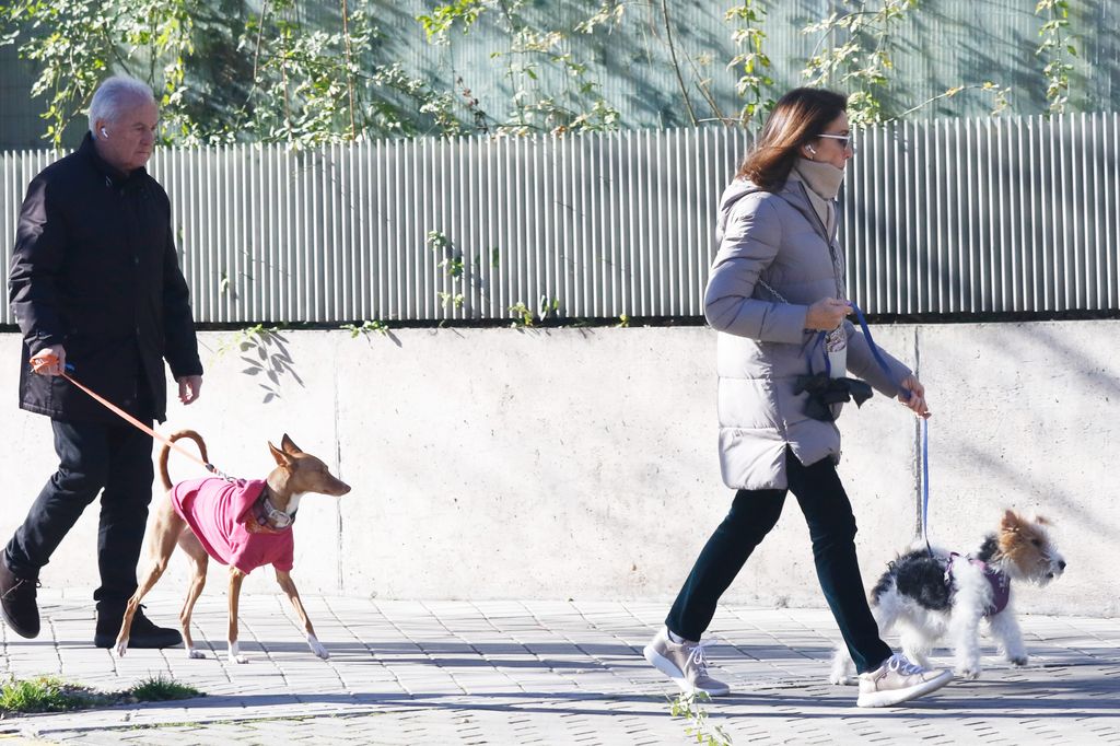 Víctor Manuel y Ana Belén paseando a sus mascotas por Madrid