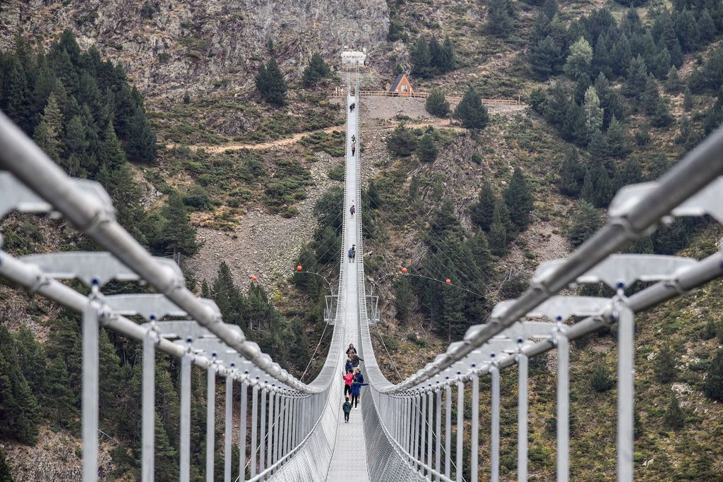 El enrejado permite ver el bosque directamente bajo los pies, una sensación que acelera el pulso