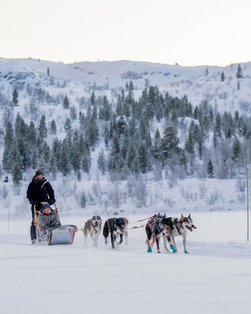 Ingrid de Noruega, en trineo tirado por perros
