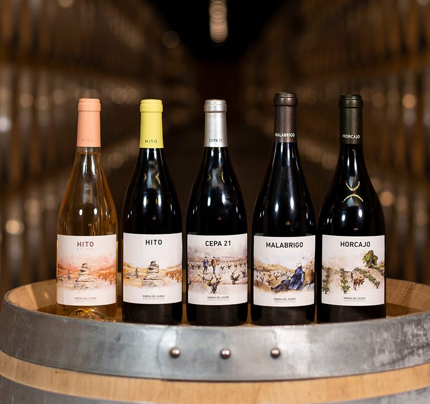 Gama de vinos de Cepa 21