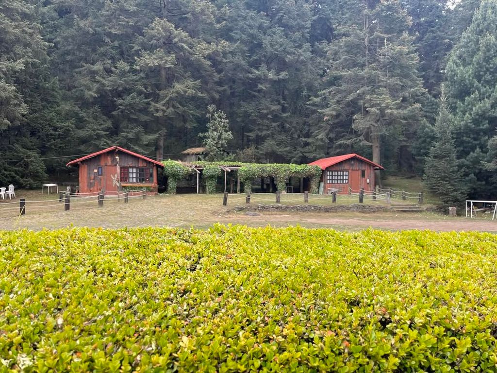 Existe la opción de alojarse también en las cabañas más chicas. 