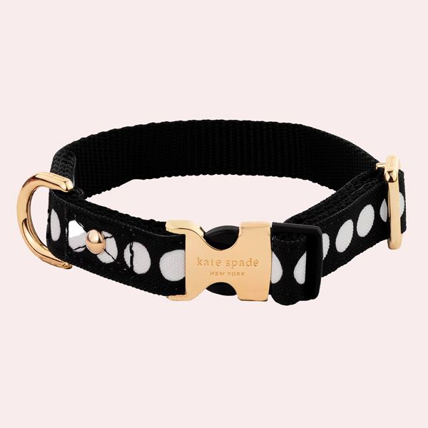 Collar Kate Spade para perros Art Dot