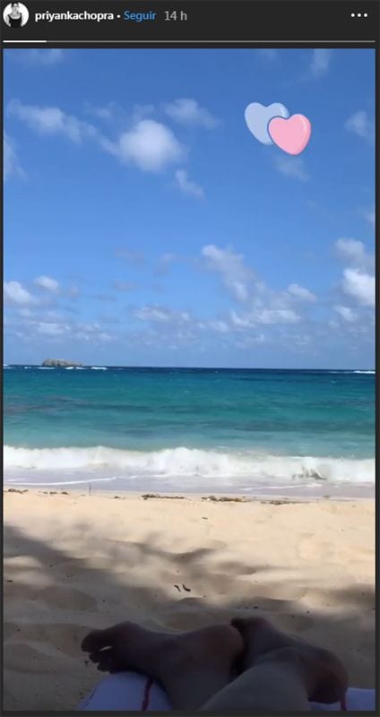 Nick Jonas y Priyanka Chopra en el Caribe