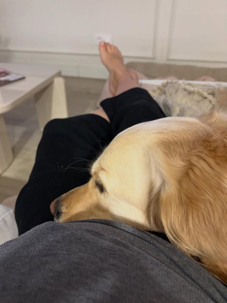 Ahora su perrita no es capaz de separarse de ella