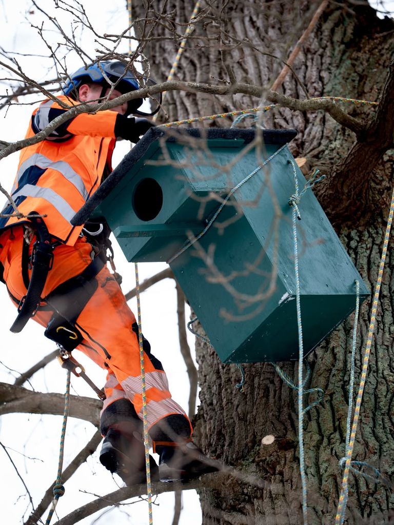 Instalación de 'apartamentos búho' en el Palacio de Fredensborg, donde pasan largas temporadas en primavera y otoño la familia real danesa