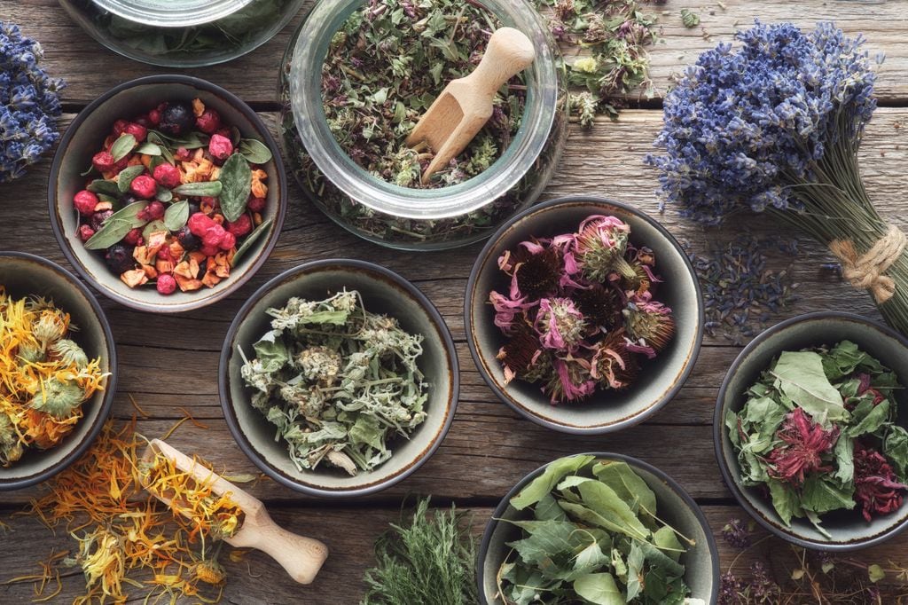 recipientes con plantas medicinales