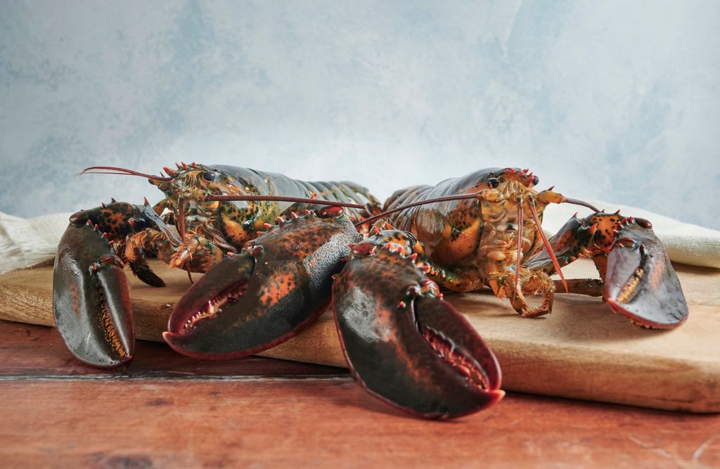En Asturias, el bogavante se conoce como 'bugre' y 'lubrigante'